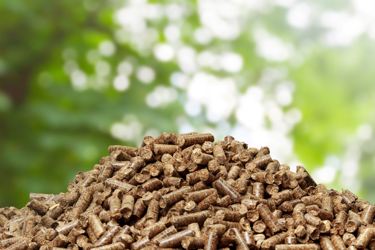 BIOMASSA FLORESTAL: O NOVO GARGALO DA BIOENERGIA BRASILEIRA