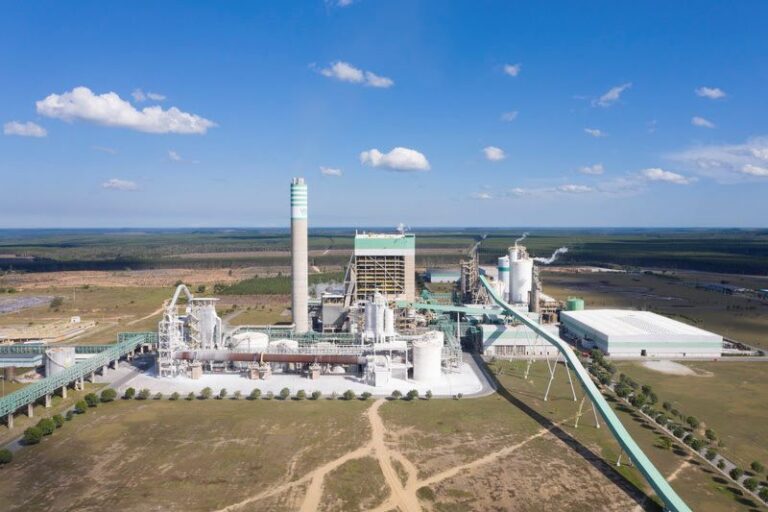 Veracel abre vaga para Monitora de Viveiro