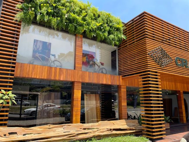 Seleção de Madeira: Orientações para Escolher o Tipo Adequado para Cada Aplicação na Construção