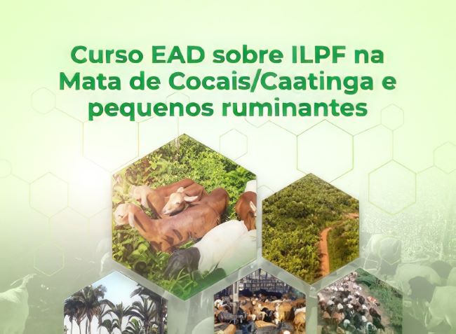 Estão abertas inscrições para curso sobre ILPF na Mata de Cocais e Caatinga com pequenos ruminantes
