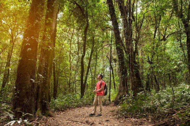 Pesquisadora coautora do livro “Florestas para Pessoas: Garantias de Direitos e Cidadania com Sustentabilidade na Amazônia”