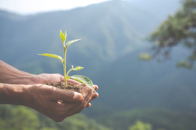 Empresas devem estar vigilantes em relação às especificidades dos procedimentos de responsabilidade ambiental