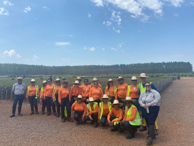 Suzano capacita a primeira turma exclusivamente feminina de ajudantes florestais em Três Lagoas (MS)