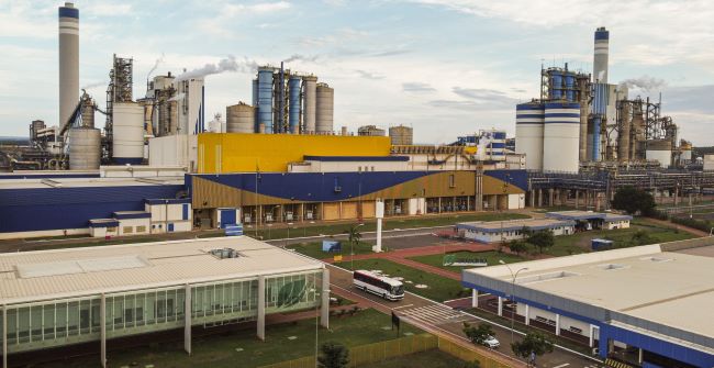 Suzano comemora seu centenário com o compromisso de investir US$ 100 milhões em Pesquisa e Educação para a Sustentabilidade