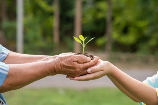 Dia Mundial da Educação Ambiental: a relevância da incorporação de práticas ESG na indústria da construção civil