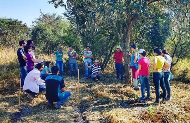 Estão abertas as inscrições para o Curso de Especialização MBA em Restauração Ecológica e Licenciamento Ambiental (modalidade EaD) da UFSCar