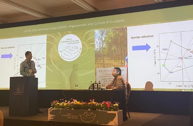 NOTA: IPEF esteve presente na IUFRO 2023