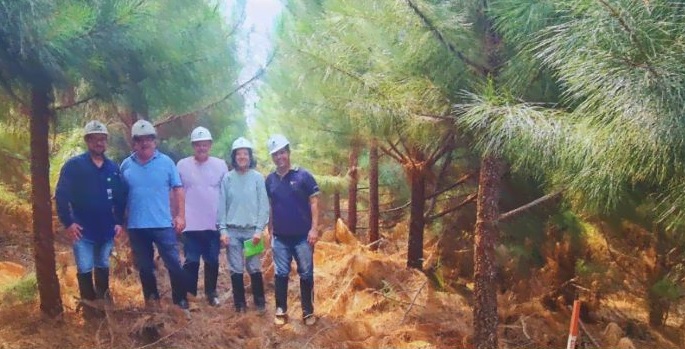 PTSM e grupo de viveiristas espanhóis fazem visita à Klabin – PR