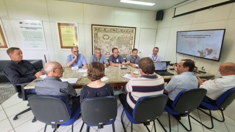 Dados parciais do Inventário Florestal destacam o potencial econômico das áreas de reflorestamento