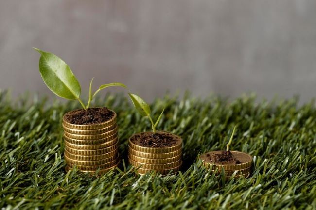 A relevância do cobre na abordagem da Economia Verde