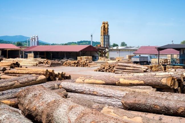 Avançando em direção a práticas responsáveis: sustentabilidade na indústria madeireira