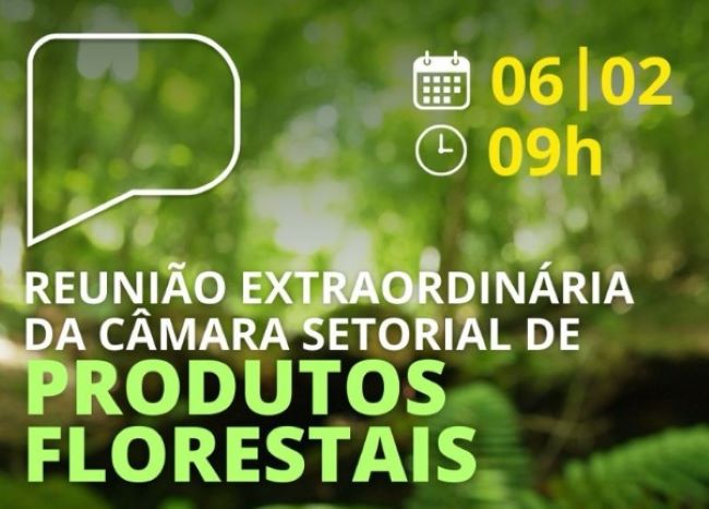 Embrapa Florestas propõem reunião extraordinária da Câmara Setorial de Produtos Florestais de São Paulo