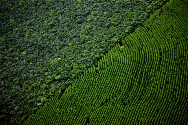 Suzano abre dois processos seletivos em Três Lagoas (MS)