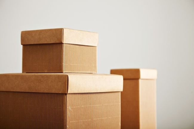 Empapel encerra 2023 com resultados positivos e prevê crescimento setorial em 2024