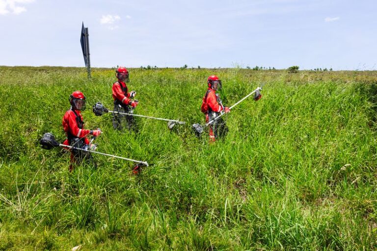 Branco Motores apresenta as novas roçadeiras Elite durante o Show Rural Coopavel 2024