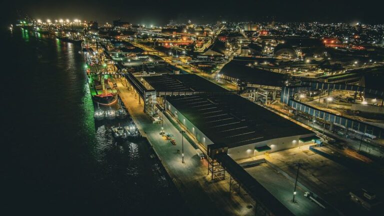 Em seu primeiro ano de operação, o Terminal Portuário da Klabin realizou o embarque de mais de 600 mil toneladas de celulose