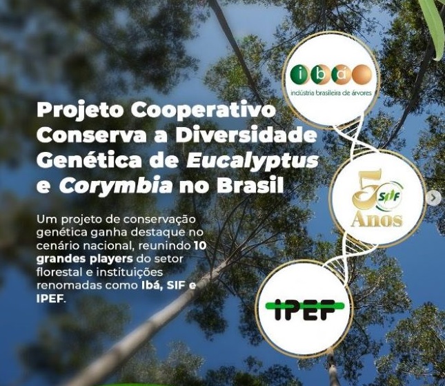 NOTA: IPEF colabora em projeto de conservação genética de Eucalyptus e Corymbia