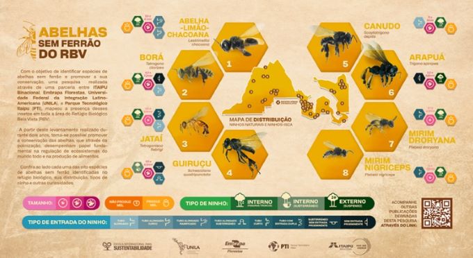 Descoberta de oito espécies de abelhas-sem-ferrão em refúgio biológico no Paraná