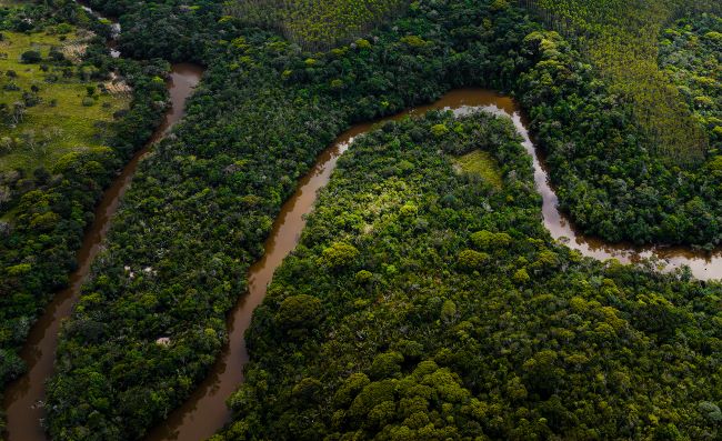 Monitoramento de microbacias pela Bracell confirma os efeitos da gestão sustentável de água e florestas