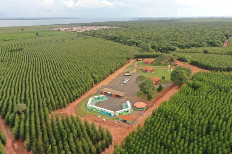 Eldorado Brasil estreia Centro de Treinamento Itinerante Florestal