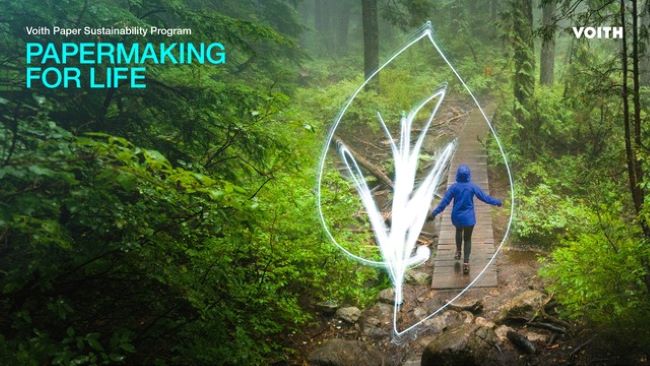 Dia Mundial do Meio Ambiente: saiba como a Voith está fazendo a diferença para um mundo melhor através do papel