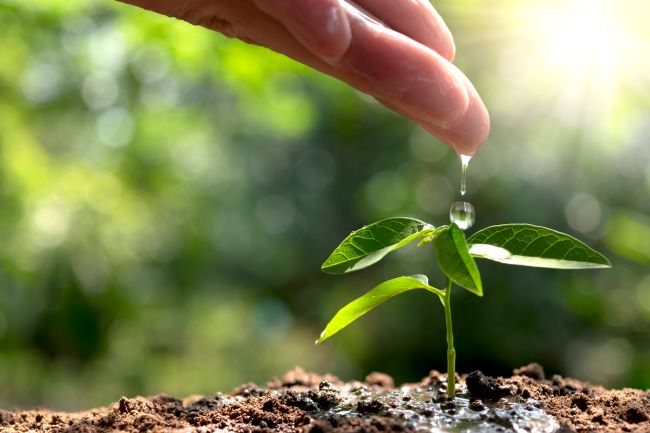 Valmet destaca-se como uma das principais empresas em sustentabilidade, conforme evidenciado no ranking CDP