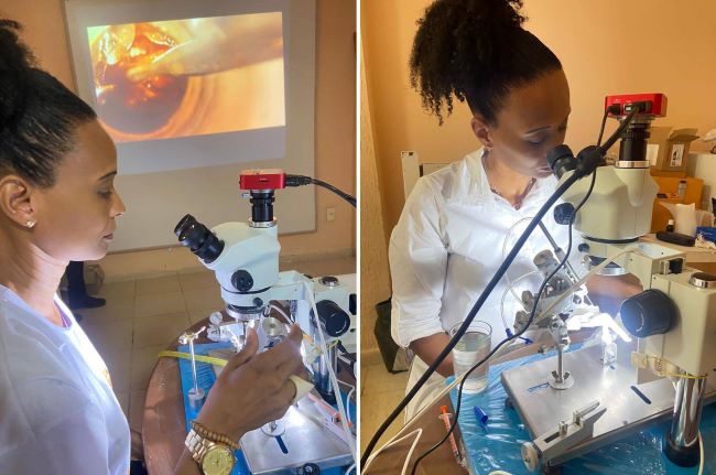 Apicultora quilombola da Bahia se torna a primeira mulher apta a realizar inseminação instrumental de abelhas