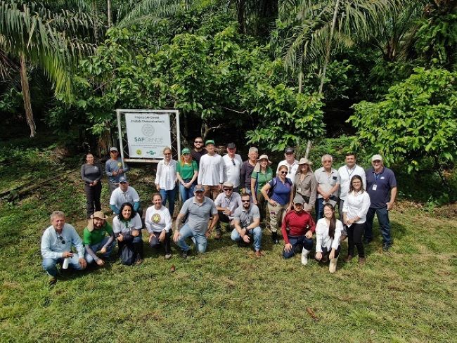 Equipe da Embrapa Cocais realiza prospecção em sistemas agroflorestais no Pará