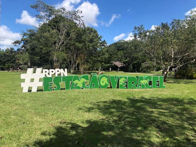 Veracel e Instituto IPÊ celebram oito anos de parceria na formação de profissionais especializados em conservação ambiental