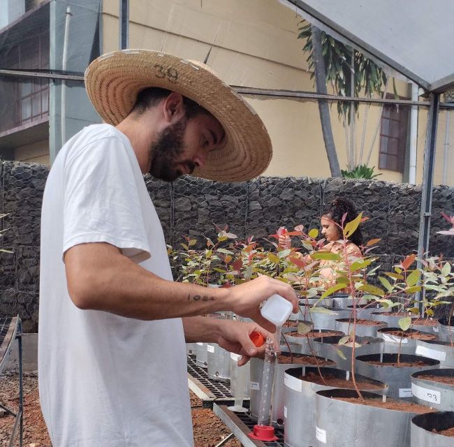 IPEF proporciona aprendizado em ciências florestais a estudantes de diversas instituições pelo país