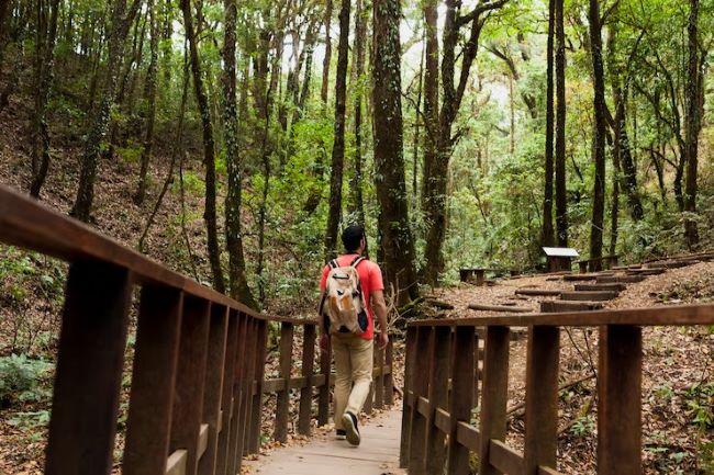 Trilha “Caminhos de Tropa” é nova atração do Parque das Neblinas