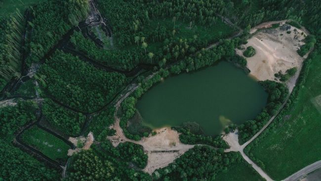 FSC Brasil destaca a importância das florestas na preservação dos recursos hídricos