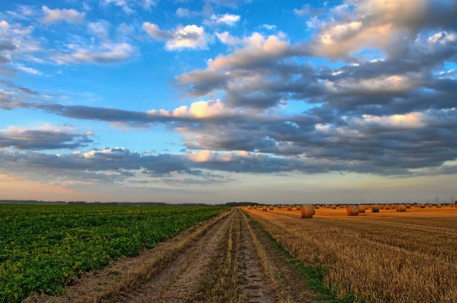 A Reforma Tributária modifica a dinâmica sucessória rural com a introdução do ITCMD progressivo