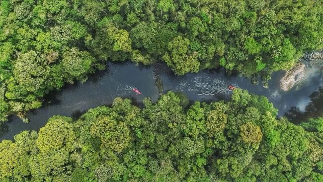 A procura por maior contato com a natureza cresce após a pandemia