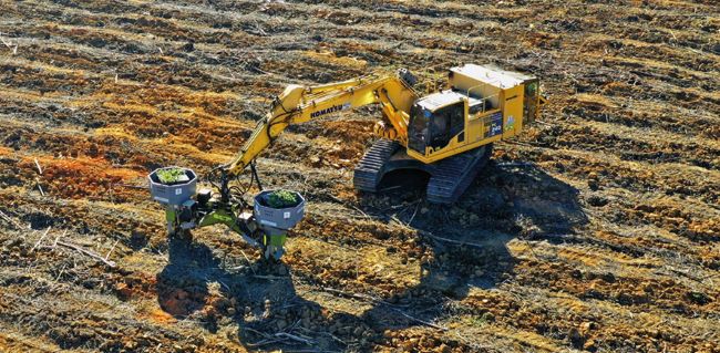 Komatsu revela plantadora totalmente mecanizada na Agrishow