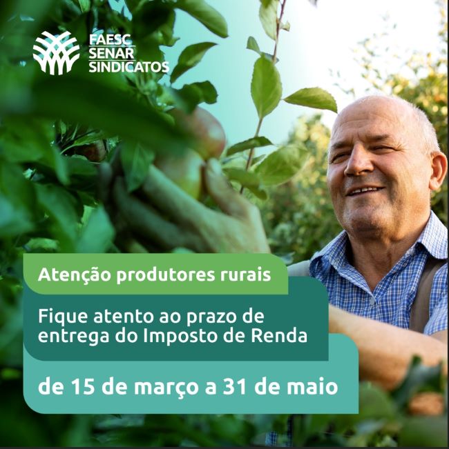 Últimos dias para declarar o Imposto de Renda