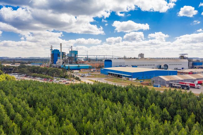 WestRock Brasil lidera em depósitos de patentes de modelo de utilidade no Brasil em 2023