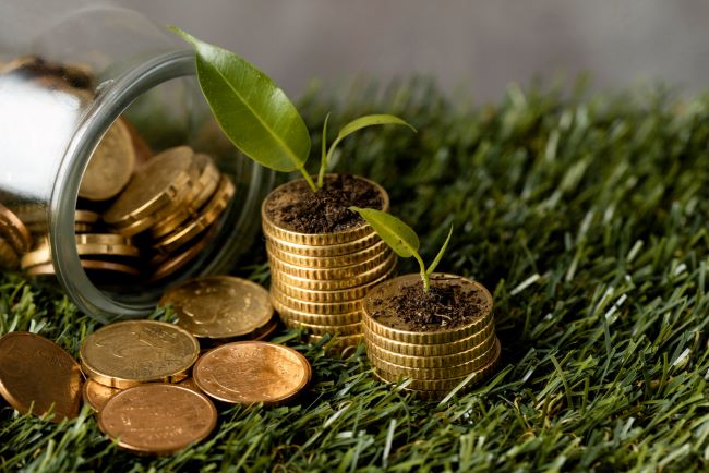Brasil pretende liderar o mercado de carbono com um novo Projeto de Lei