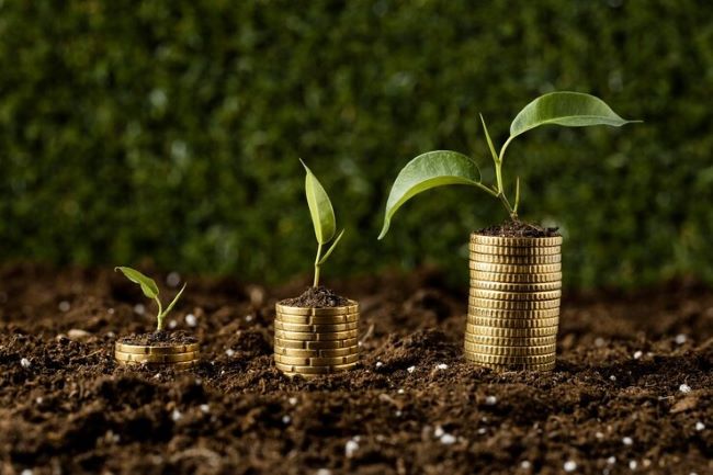 Serasa Experian revela que R$ 224 bilhões em linhas de crédito rural e agroindustrial foram concedidos no Brasil em 2023