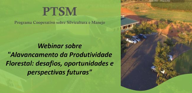 PTSM organiza webinar focado em produtividade florestal