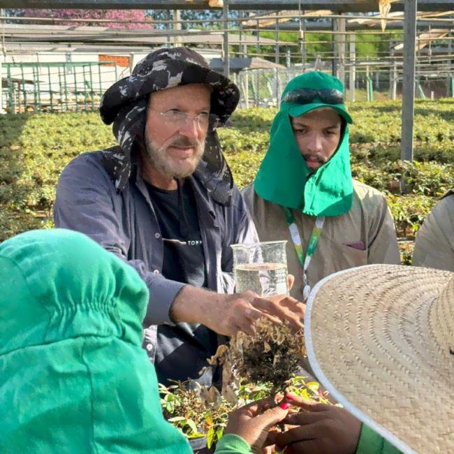PROTEF promove capacitação em temas críticos para a proteção florestal