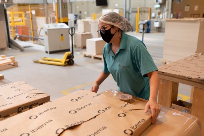 Ibema investe R$ 150 milhões em suas florestas para produção de papelcartão