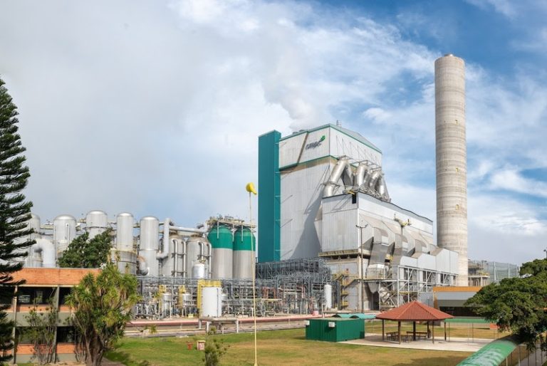 CMPC bate recorde de produção de celulose e de redução de consumo de água