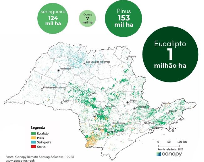SP tem 1,28 milhão de hectares com florestas cultivadas