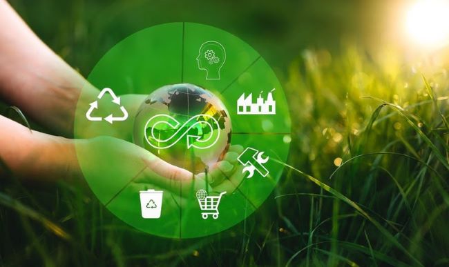 Economia circular: Como está moldando as práticas empresariais