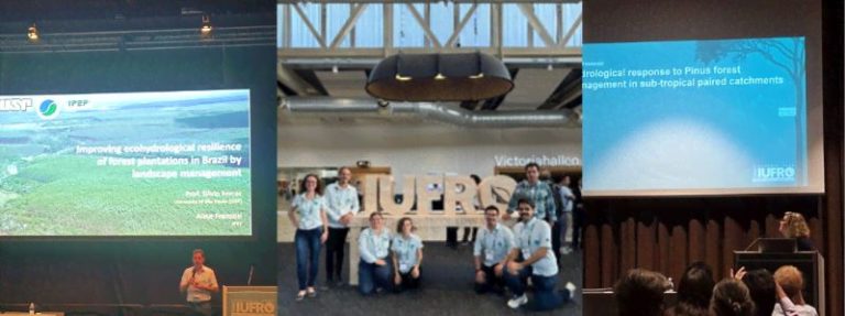 IPEF participa do Congresso Mundial IUFRO