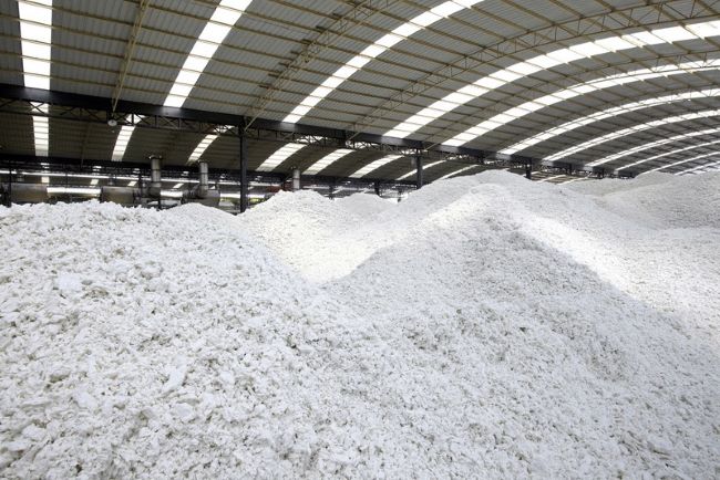 Aumento no preço da celulose representa um desafio para a indústria de papel no Brasil