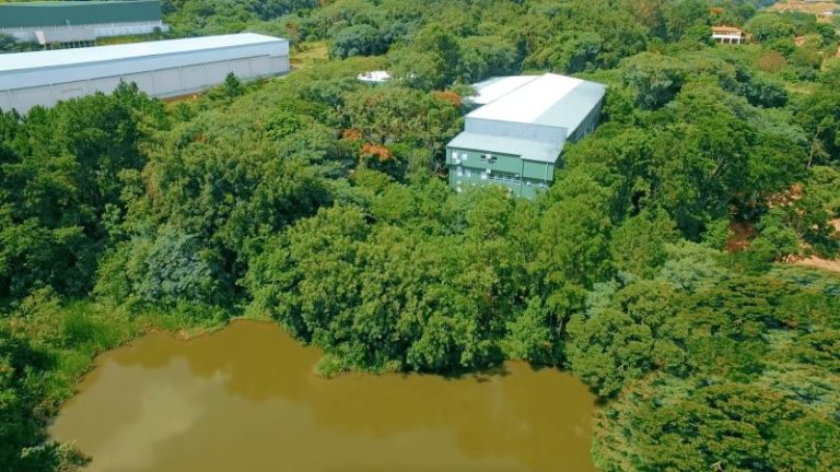Trading Care conquista Selo Verde pelo segundo ano consecutivo, reafirmando seu compromisso ambiental