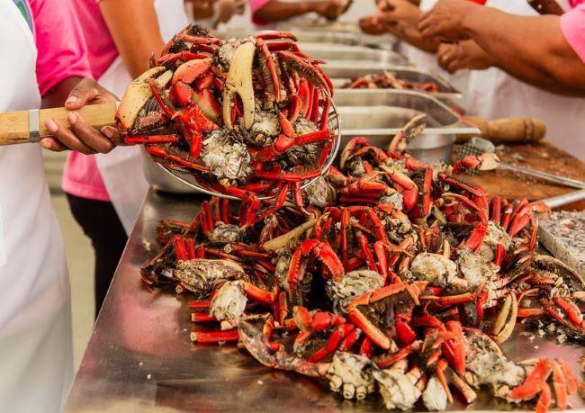 Veracel apoia o 5º Festival Gastronômico de Eunápolis como uma das patrocinadoras