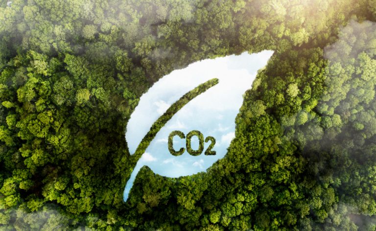 Cresce o número de empresas de celulose e papel que estão medindo suas emissões de carbono e avançando em projetos de descarbonização industrial